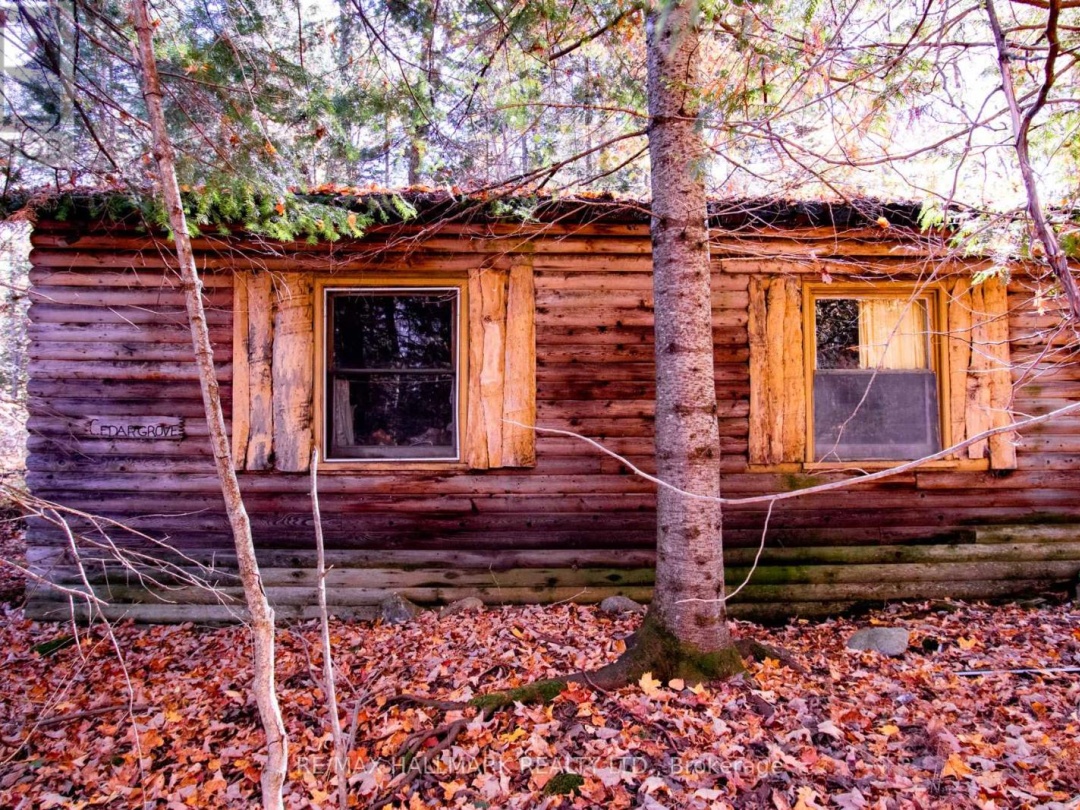 3517 HALIBURTON LAKE ROAD, 