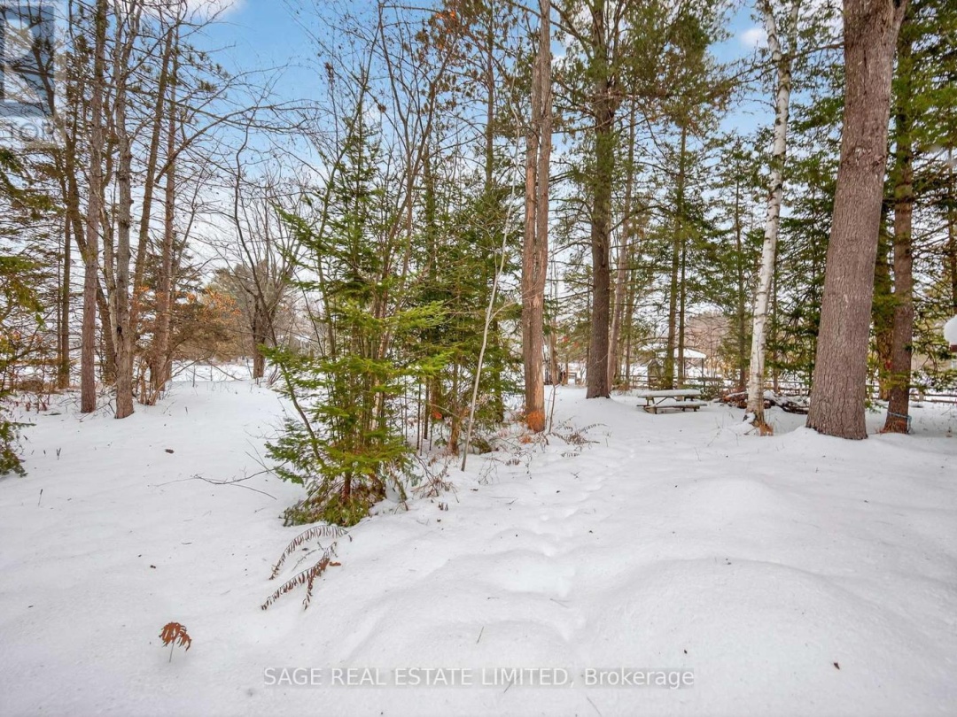 7856 BIRCH DRIVE, Black River