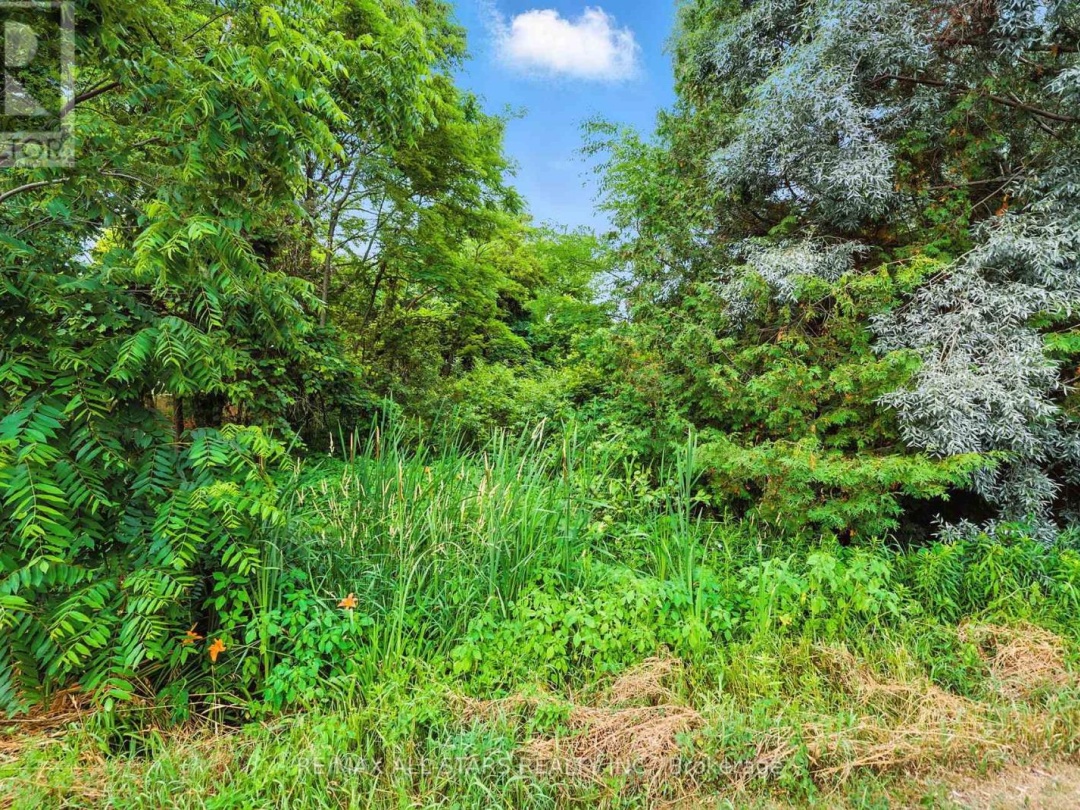 LOT 61 SUMMER DRIVE, 