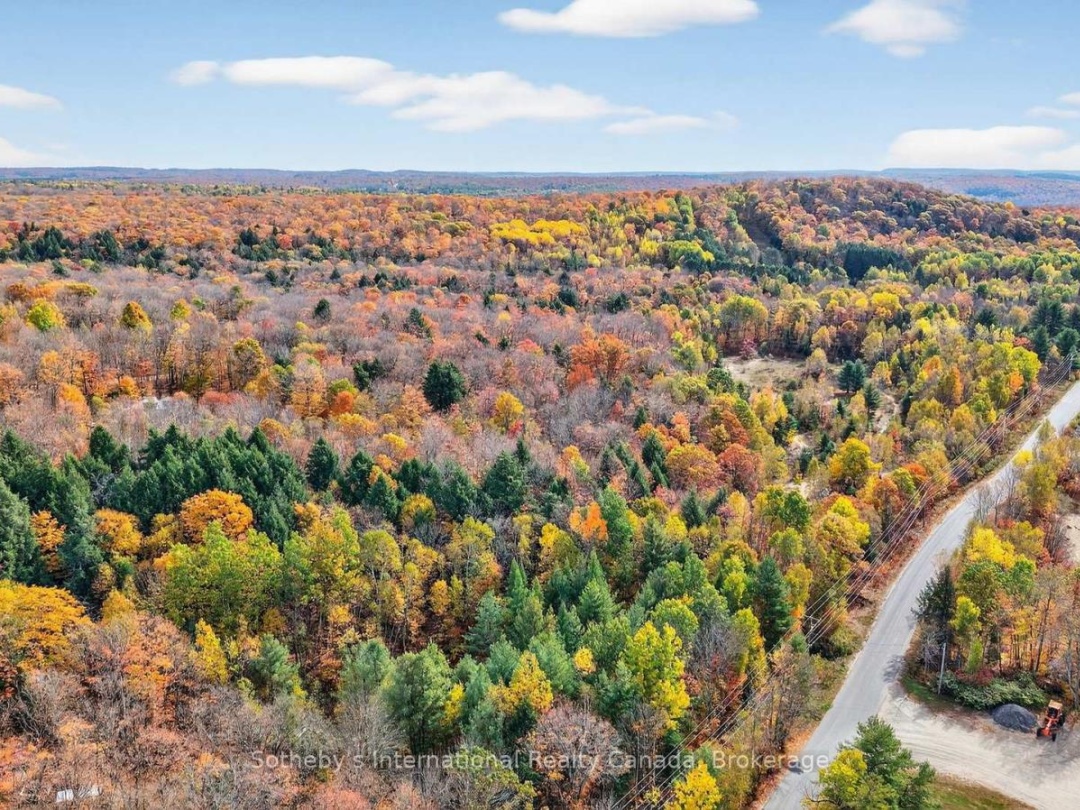 1132 LIMBERLOST ROAD, 