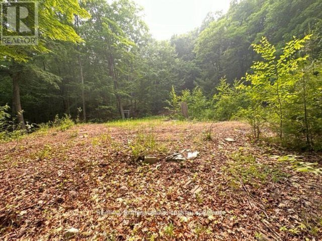 1167 LEON'S LANE, 