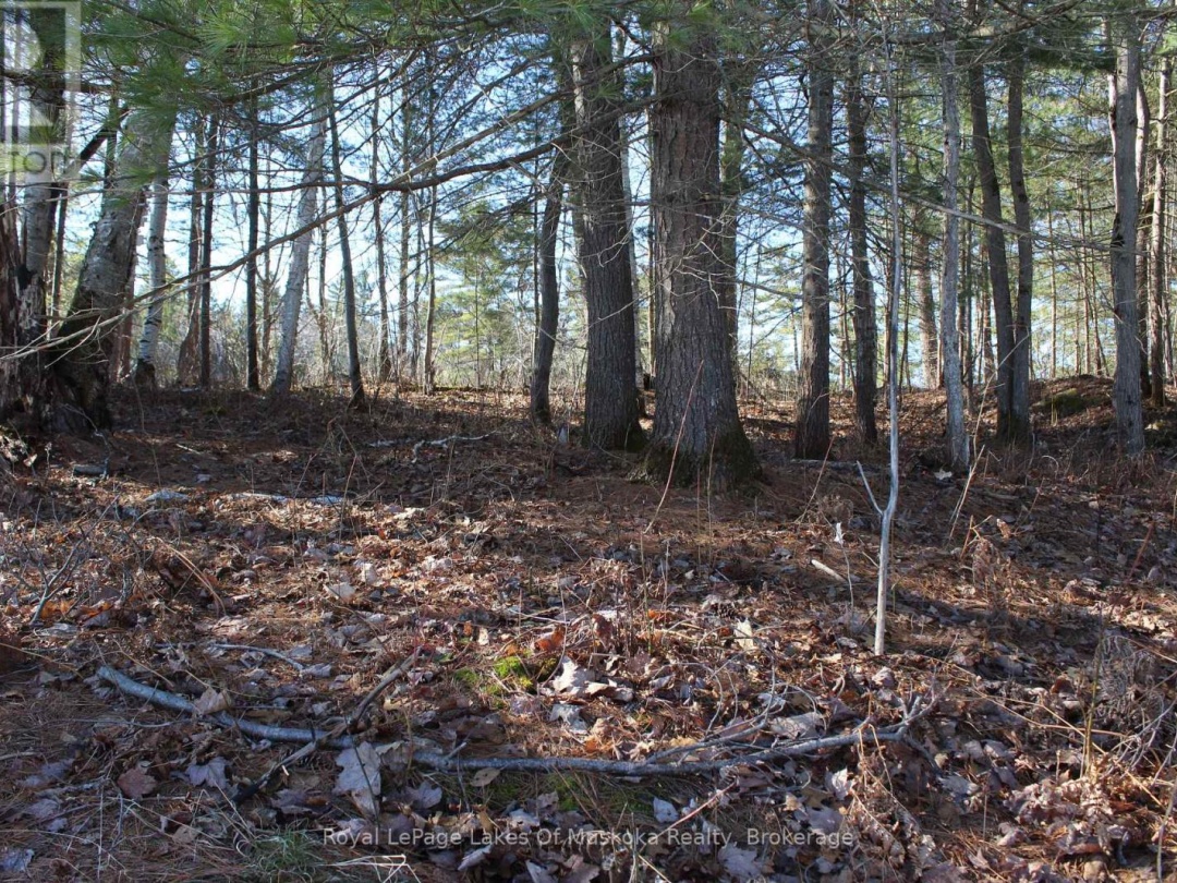 Pt Lts H&I Island 12Sr Island, Severn Lake