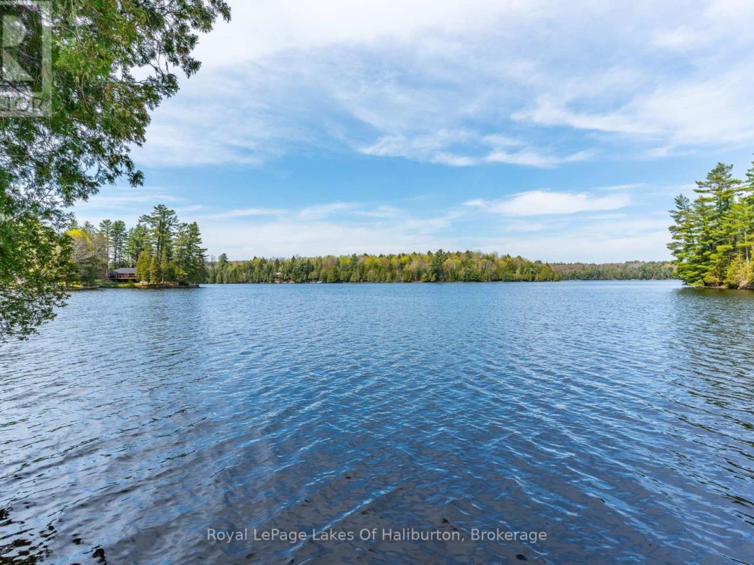 1089 PIONEER ROAD, Gooderham Lake