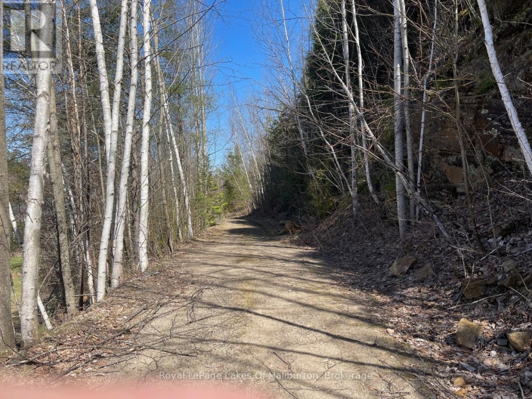 0 Starlight Road, Gull Lake