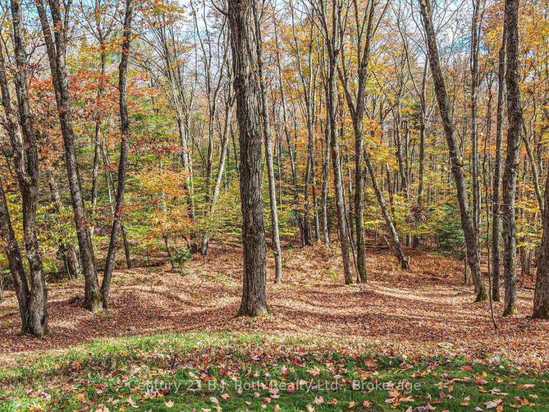 691 SOUTH WASEOSA LAKE ROAD, 