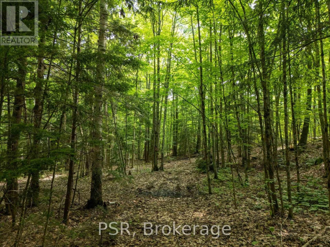 1465 CANNING ROAD, 