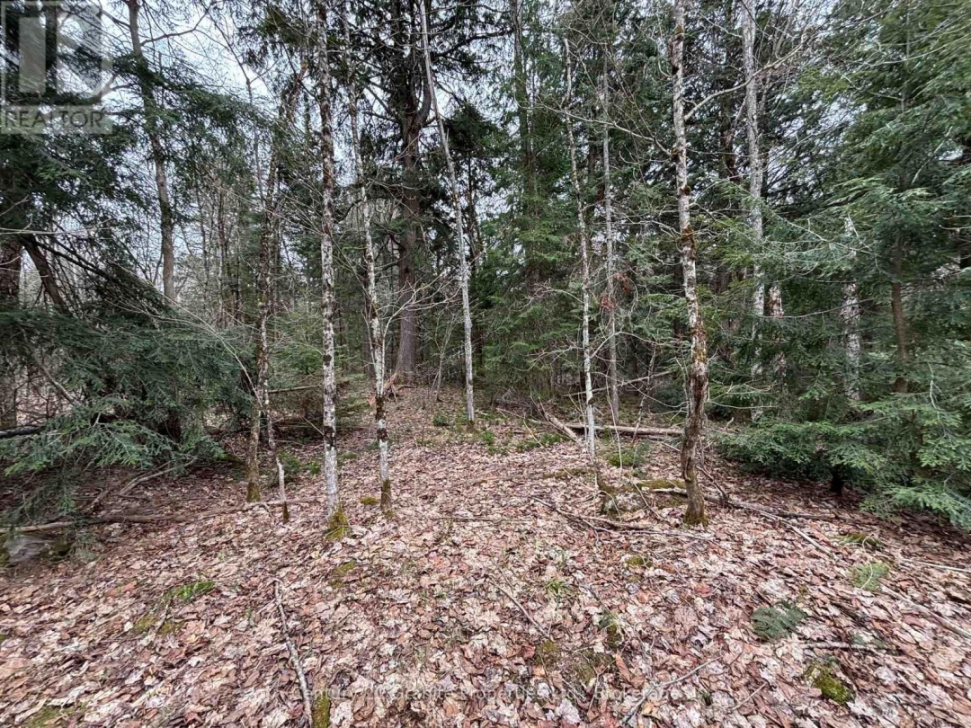 LOT 1 LOCH ERNE ROAD, McDougall