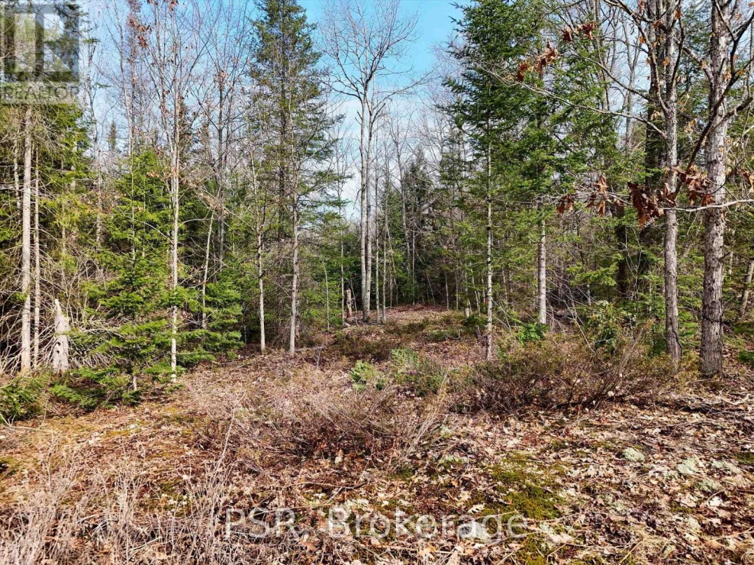 3410 Southwood Road, Gravenhurst