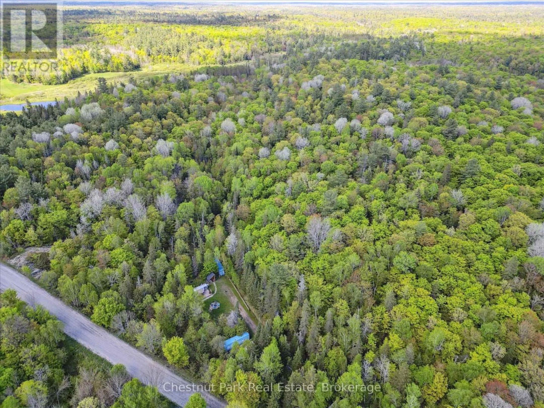 216 BLACKWATER LAKE ROAD, Seguin