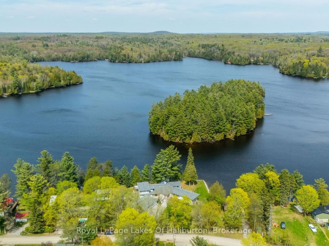 1089 PIONEER ROAD, Gooderham Lake