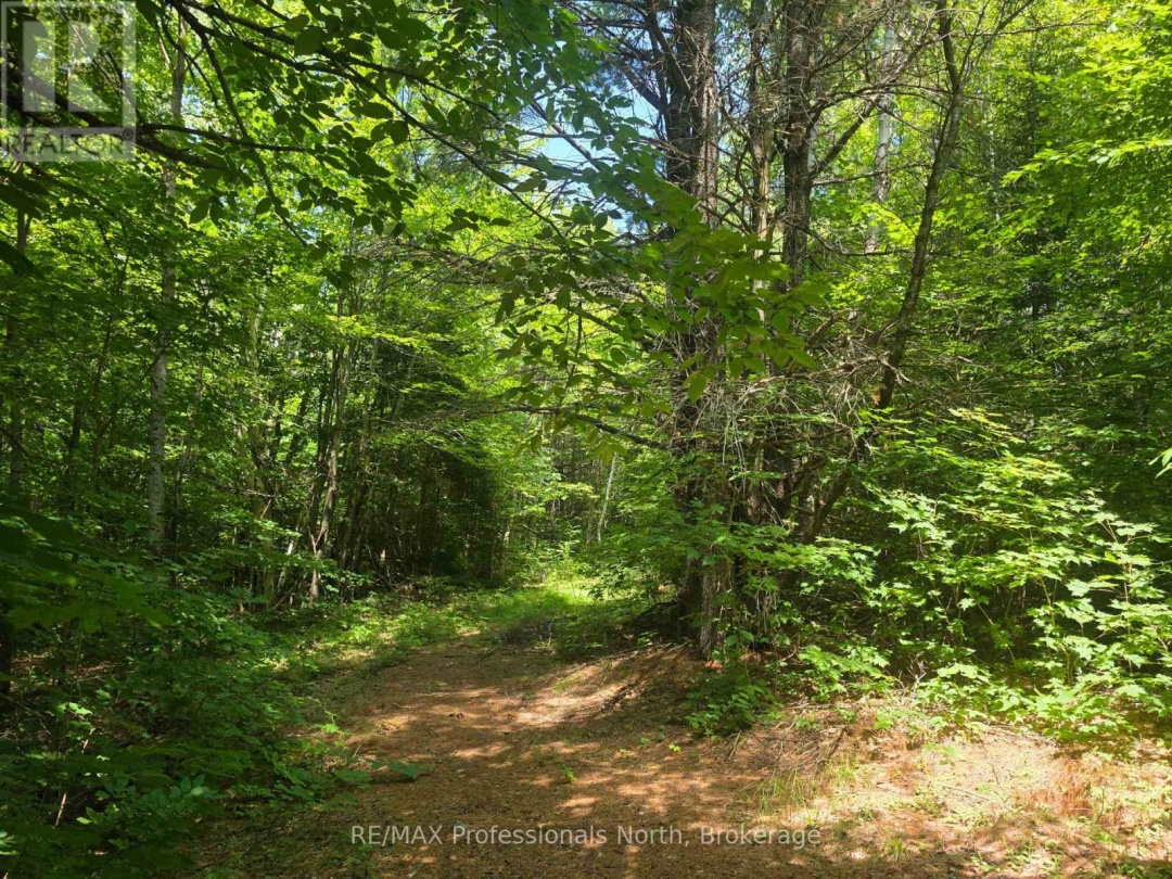 1134 WALKERS LINE ROAD, 