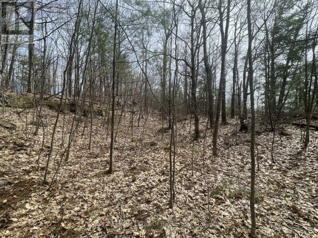 0 Starlight Road, Gull Lake