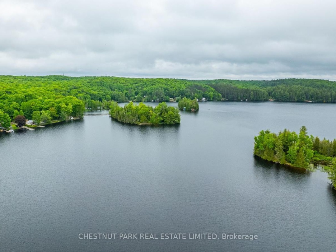 1601 CLAUDE BROWN ROAD, 