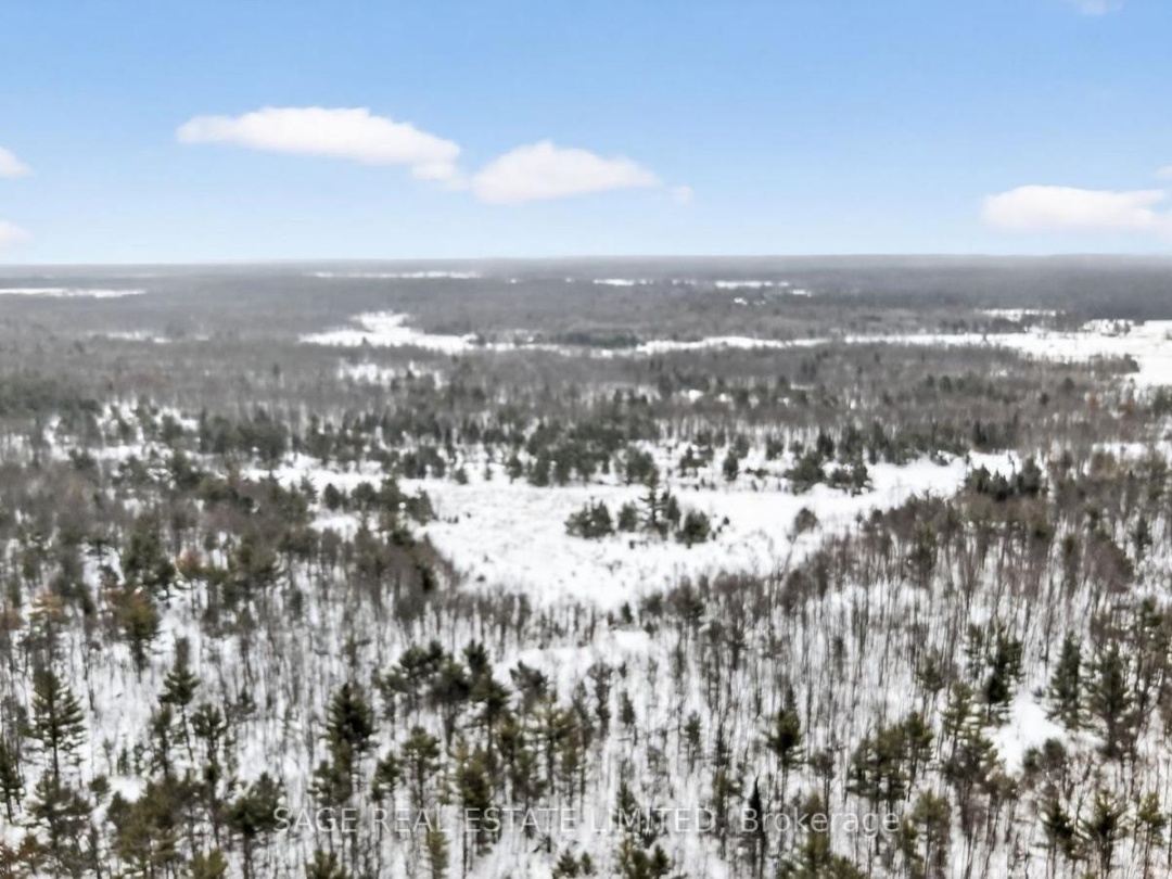 7856 BIRCH DRIVE, Black River