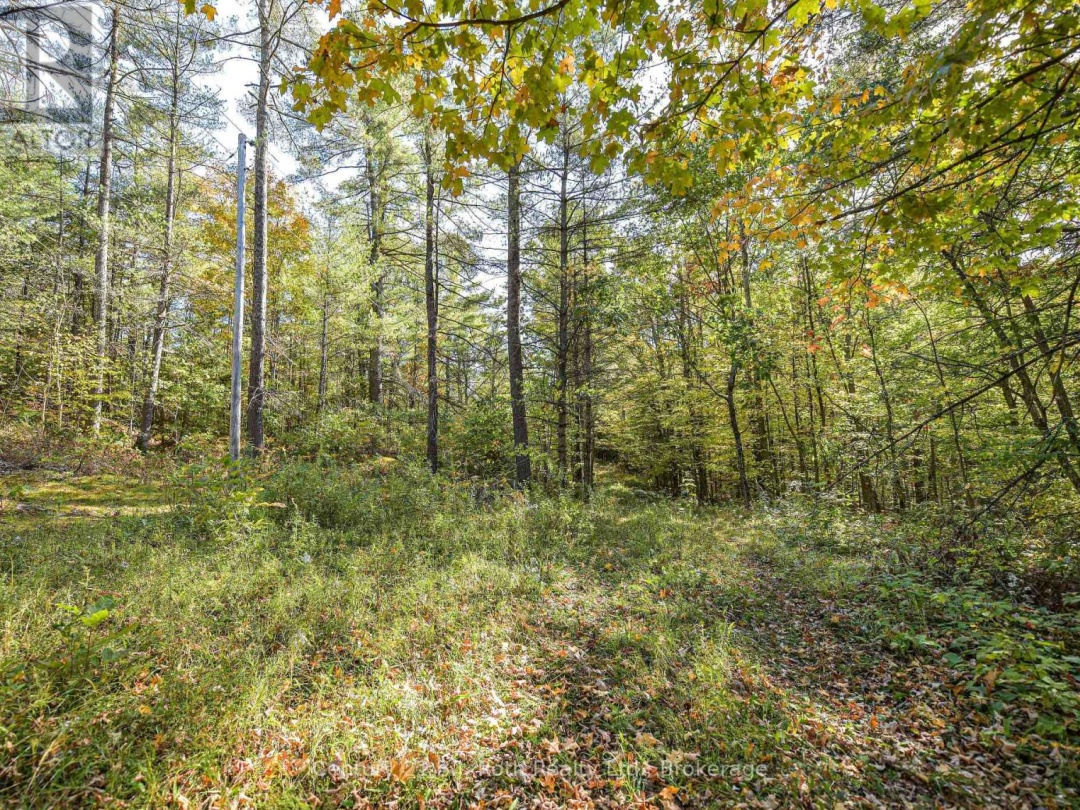 2 - 1112 SAM COOK ROAD,