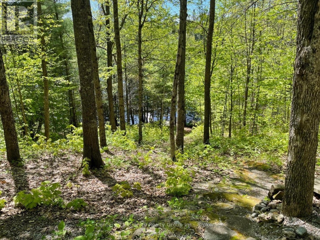 1037 ROTUNDA DRIVE, Contau Lake