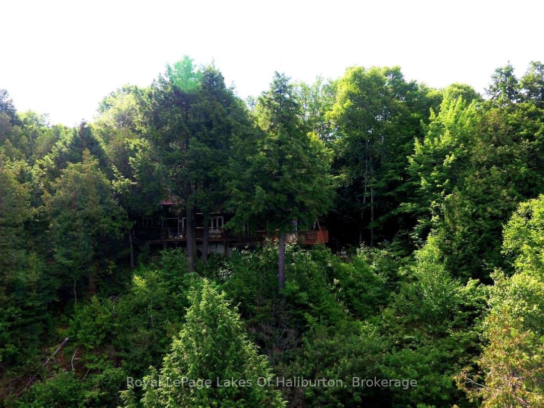 1287 PRECIPICE ROAD, 