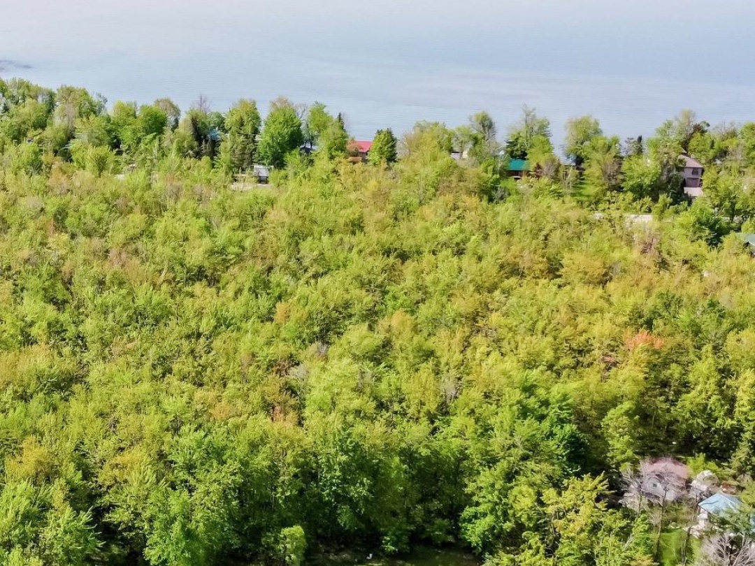 3976 Woodland Drive, Ramara