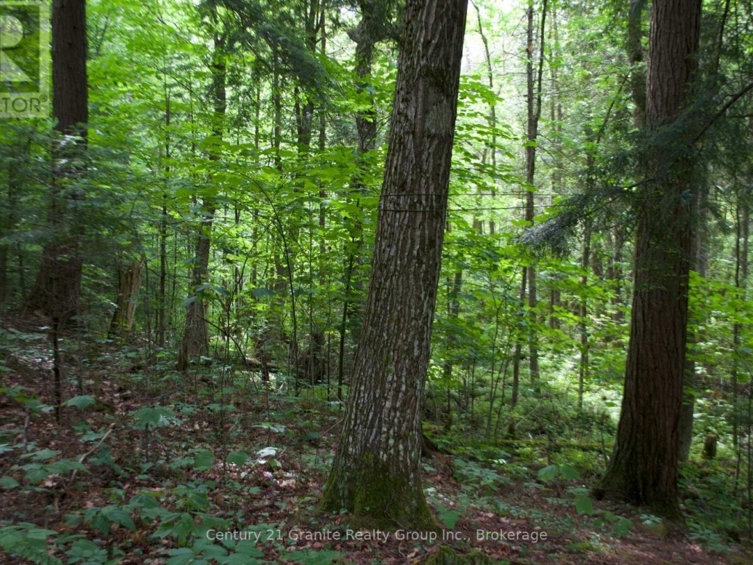 LOT 10 LOON LAKE ROAD S, 