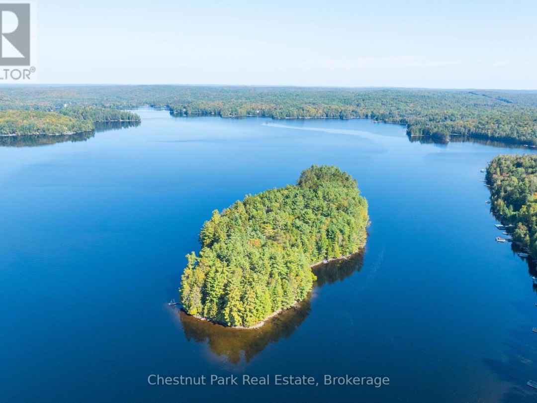 1000 Brown Island, Soyers Lake