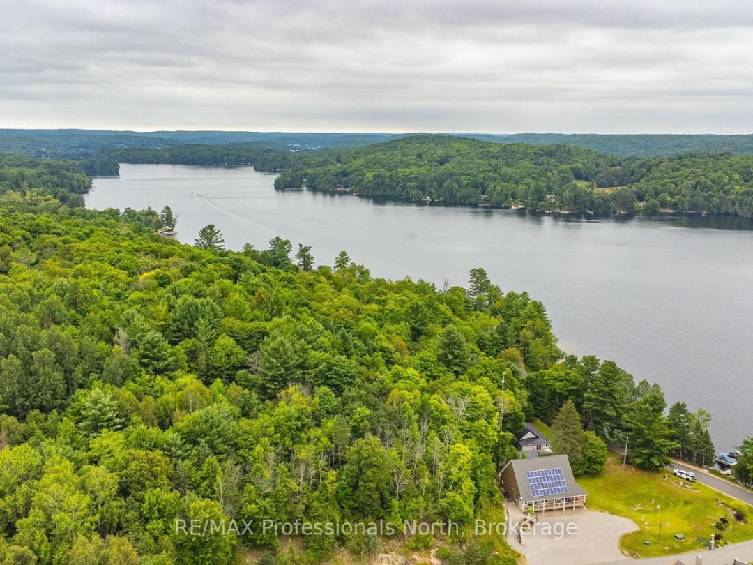 46 Webb Circle, Kashagawigamog Lake