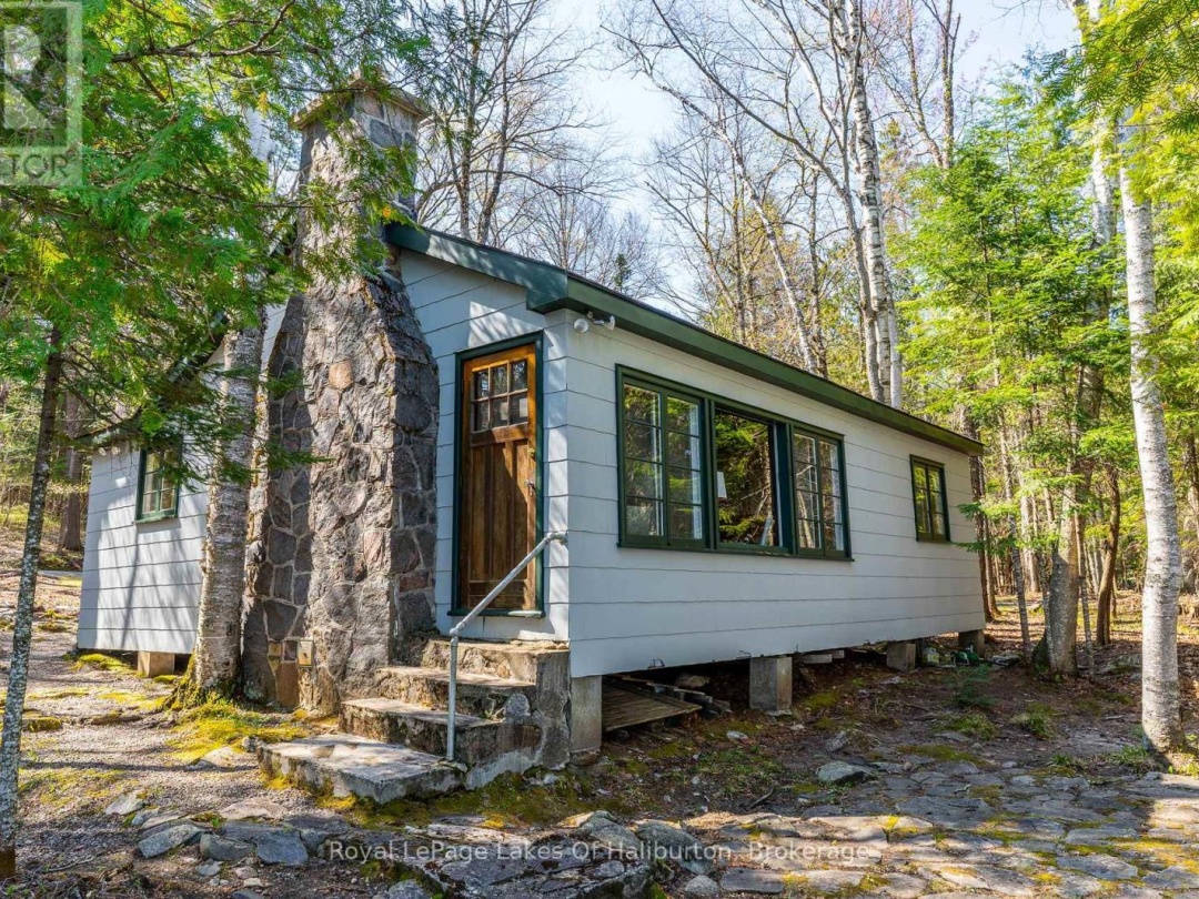 1096 Reg's Trail, Drag Lake