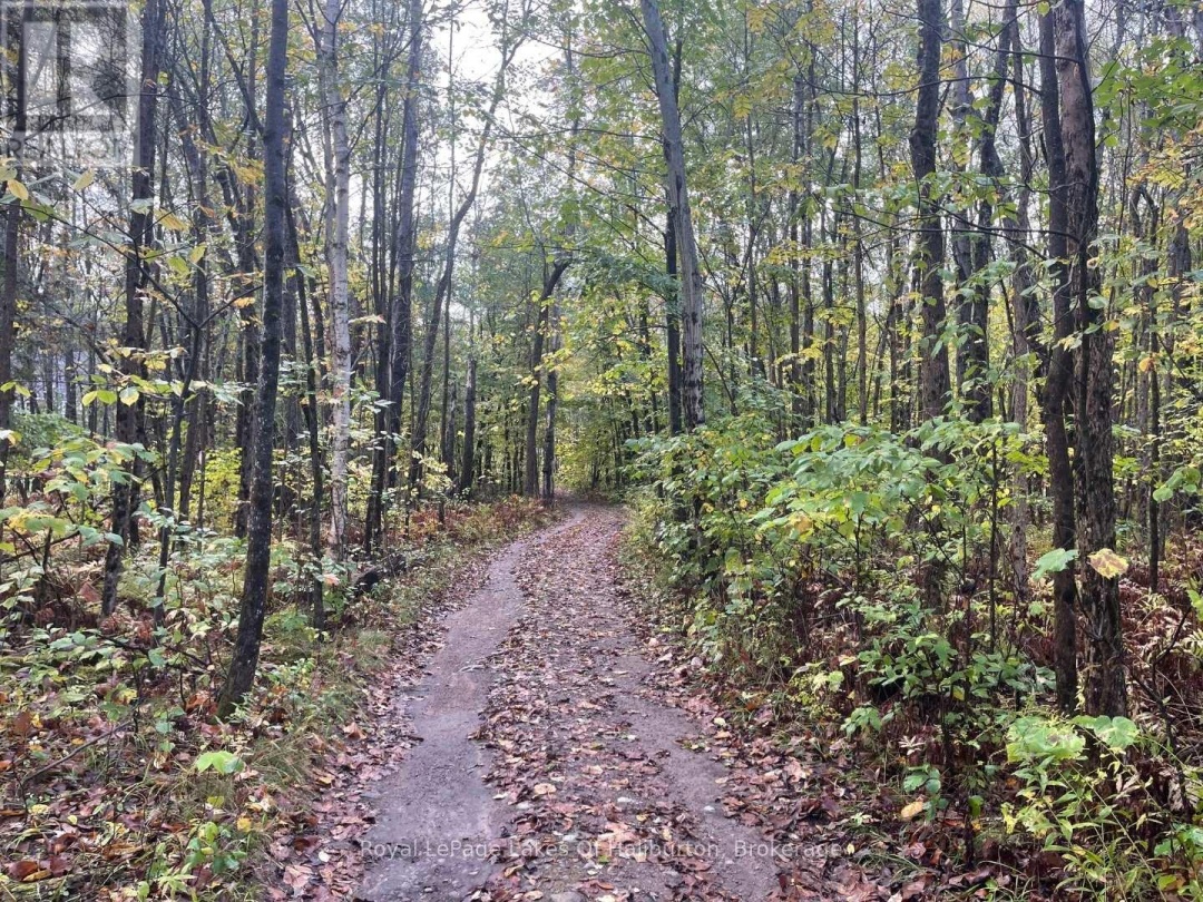Lot 67 Chelsea Lane, Maple Lake
