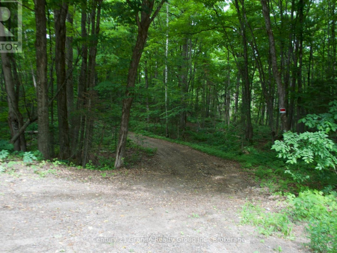 LOT 10 LOON LAKE ROAD S, 