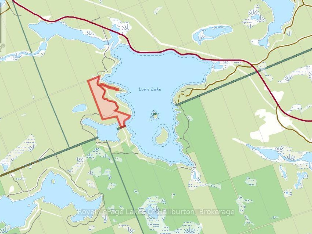 1143 TRILLIUM TRAIL, Loon Lake