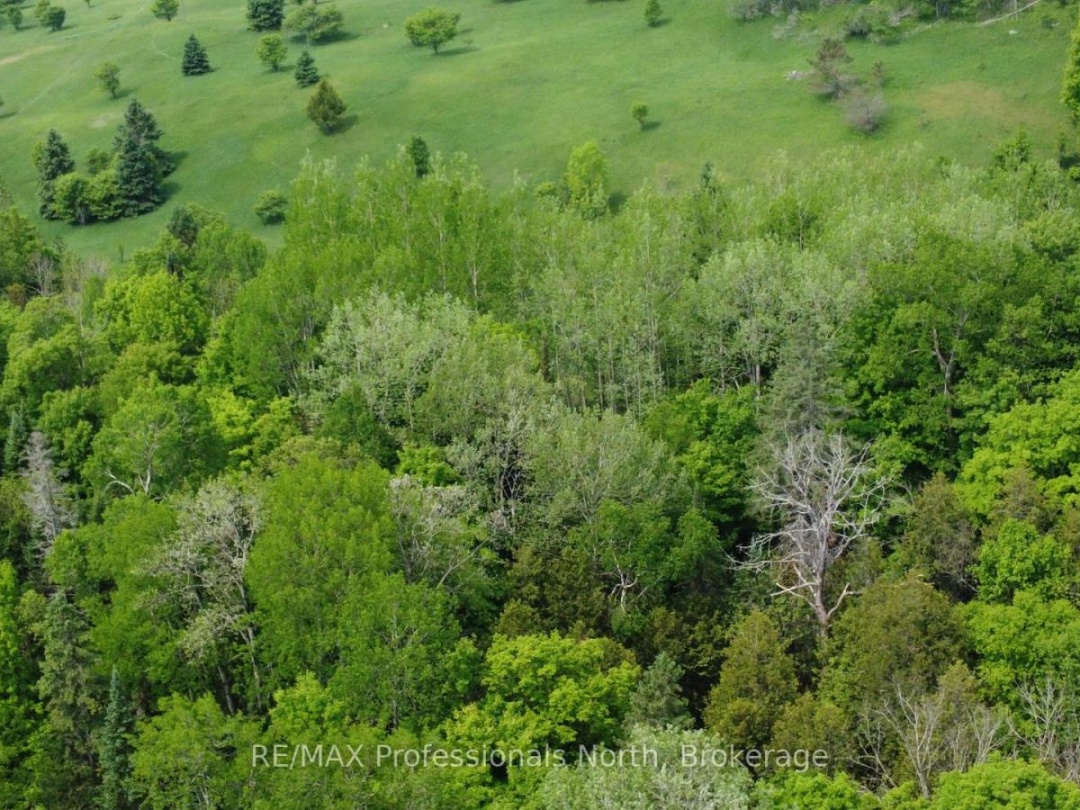 2166 BLAIRHAMPTON ROAD, 