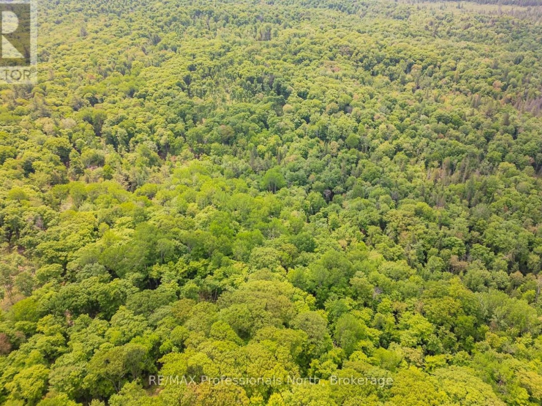 LOT 20 - 6 CONCESSION, 