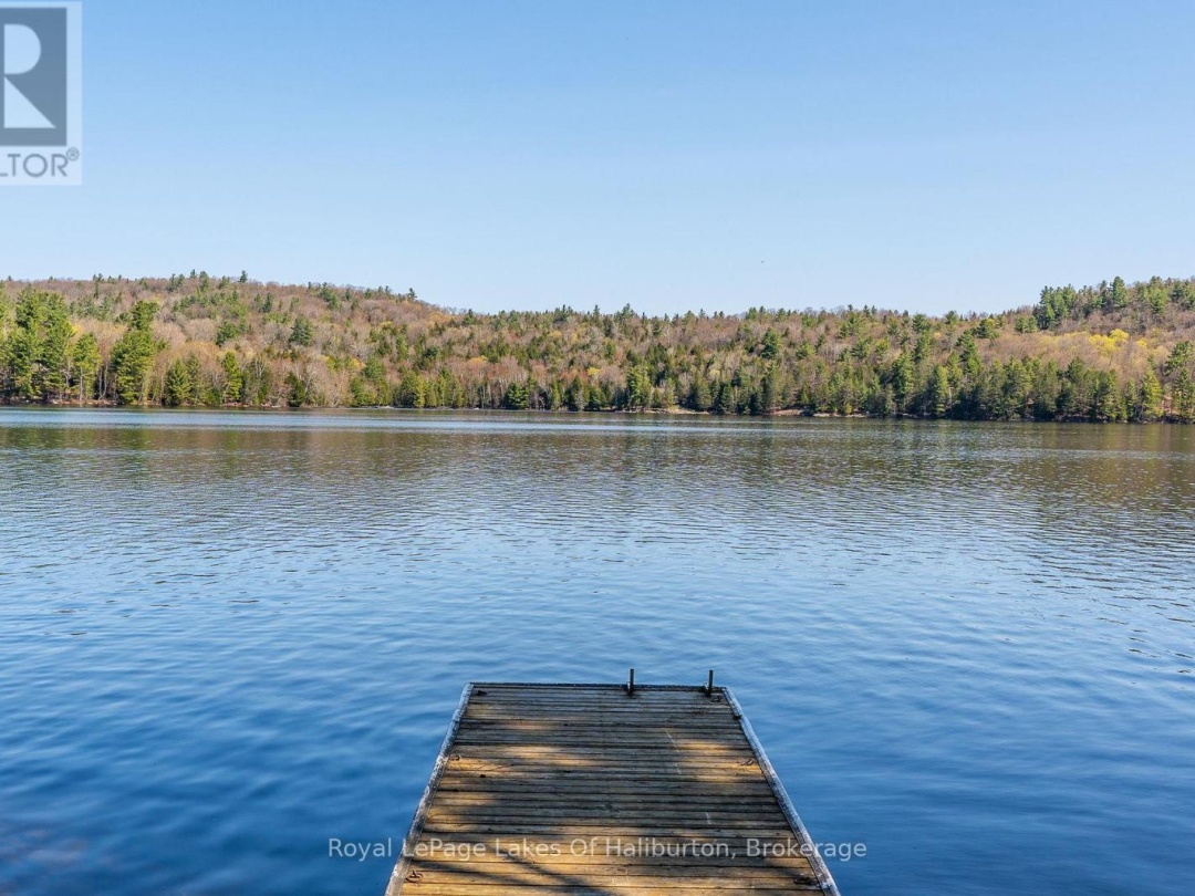 1096 Reg's Trail, Drag Lake