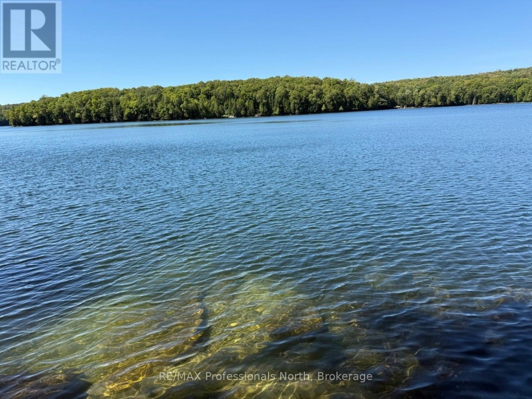 1025 MANITOU ROAD, Little Dudmon Lake