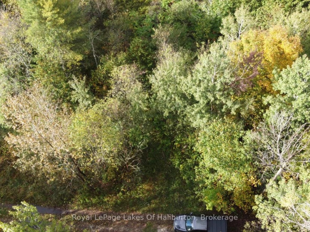 Lot 67 Chelsea Lane, Maple Lake