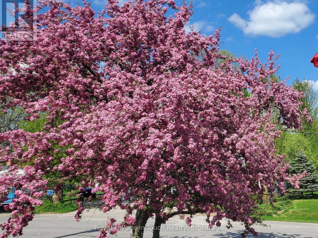 8 CYRIL MARTIN PLACE, 