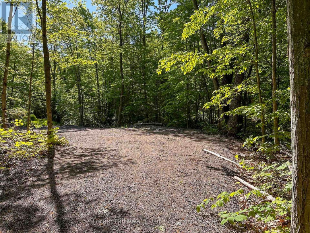 1066 SOUTH MULDREW LAKE ROAD, 