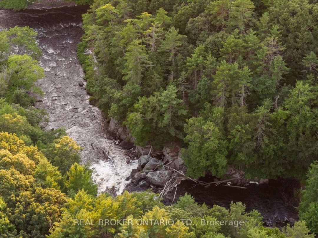 1401 Coopers Falls Road, Black Lake