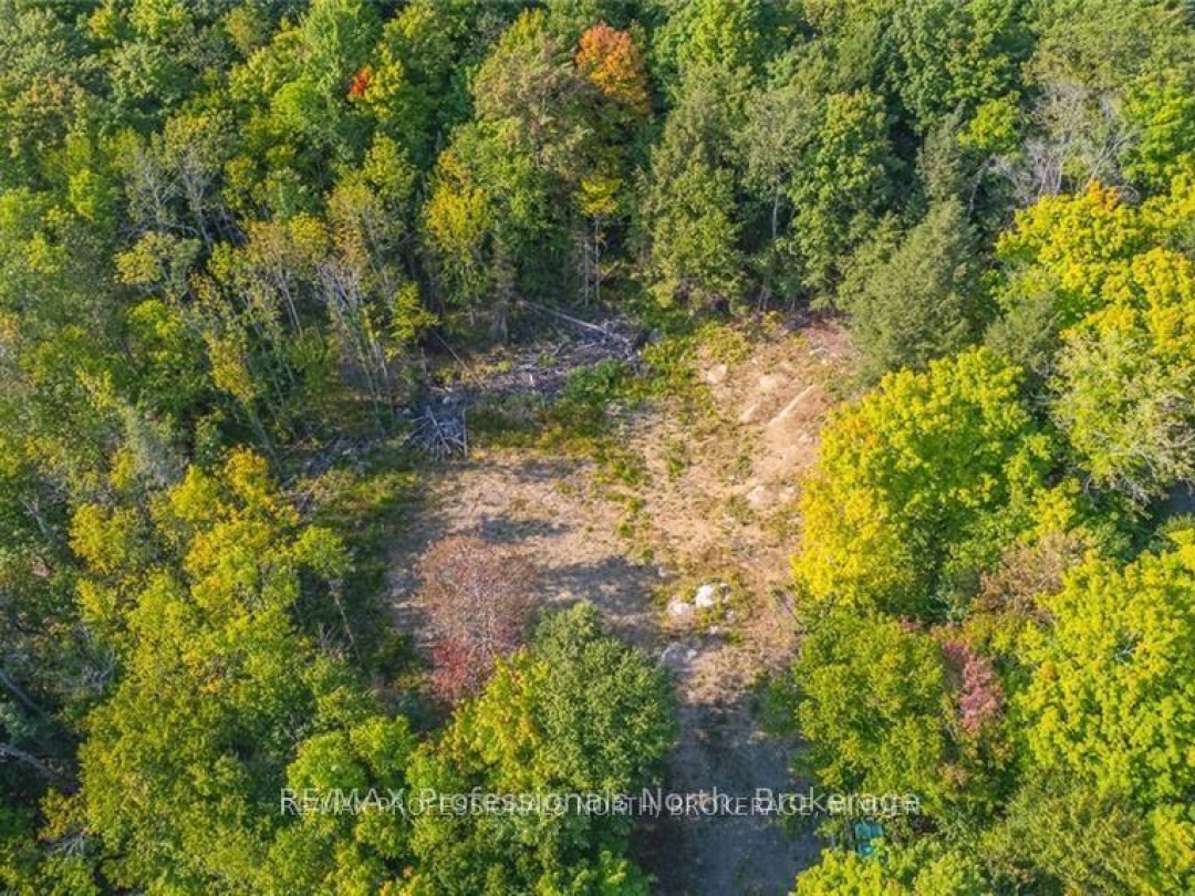 1205 Little Hawk Lake Road, Algonquin Highlands
