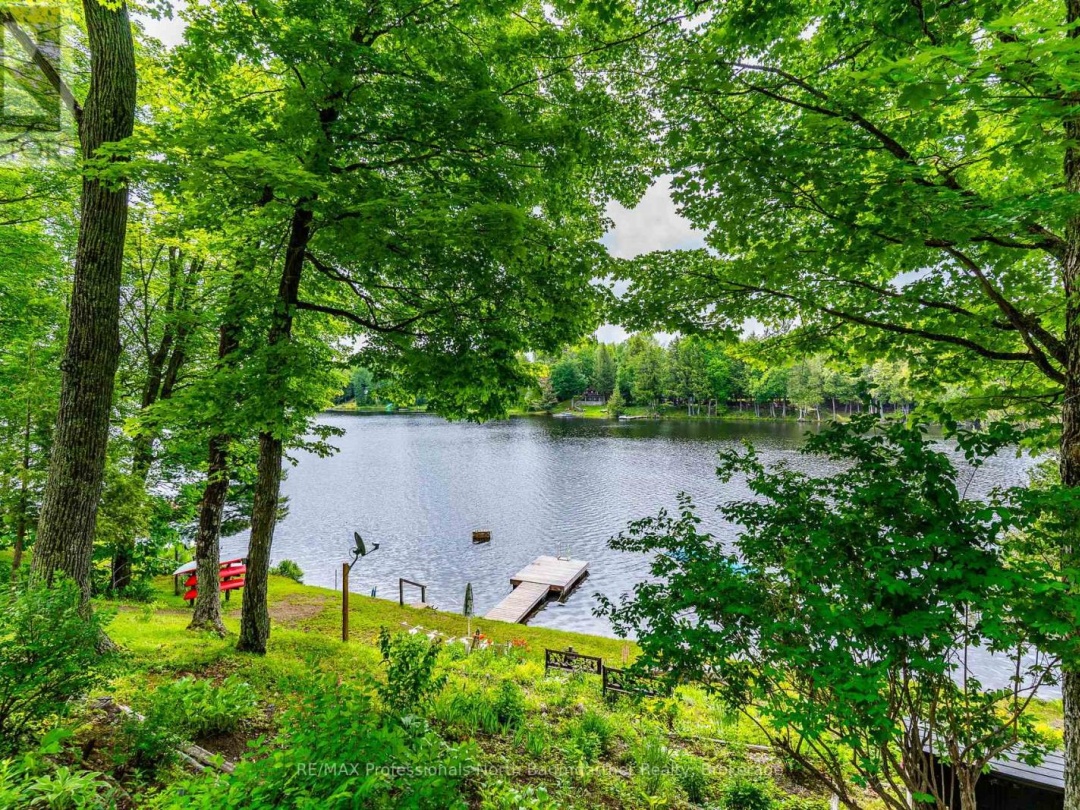1141 TROOPER LAKE DRIVE, 