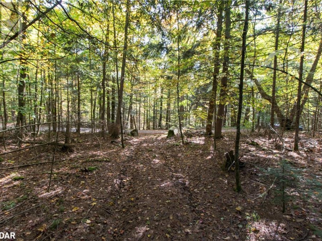 0 Lynx Lake Road, Huntsville