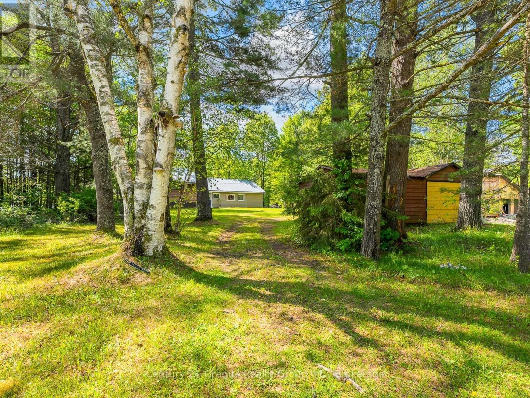 1036 Shirleys Road, Haliburton Lake
