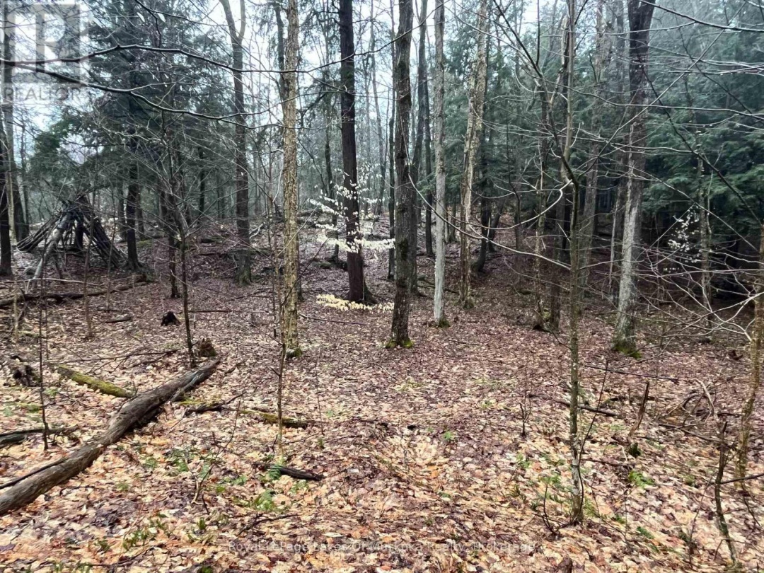 Lot 90 Lookout Point Road, Lake Vernon