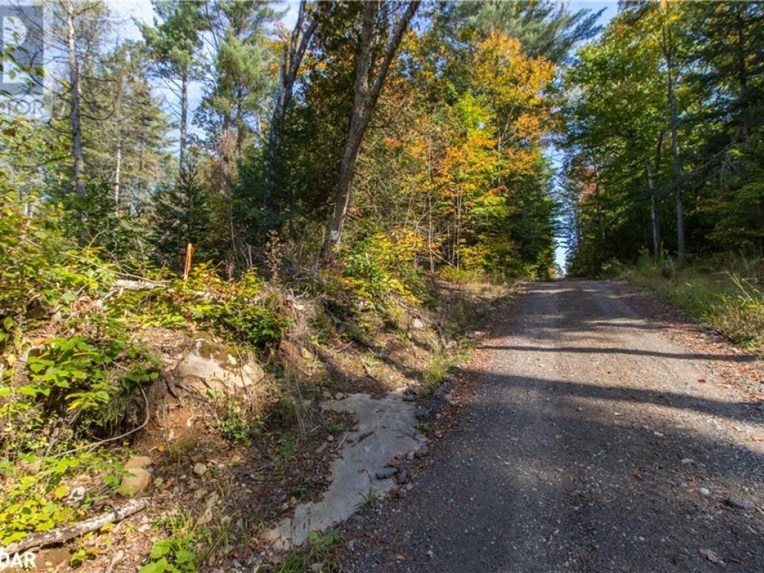 0 Lynx Lake Road, Huntsville