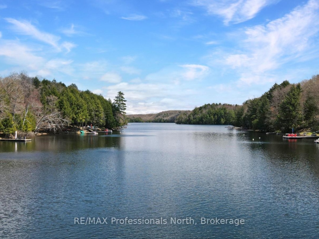 1039 Mink Road, Long Lake