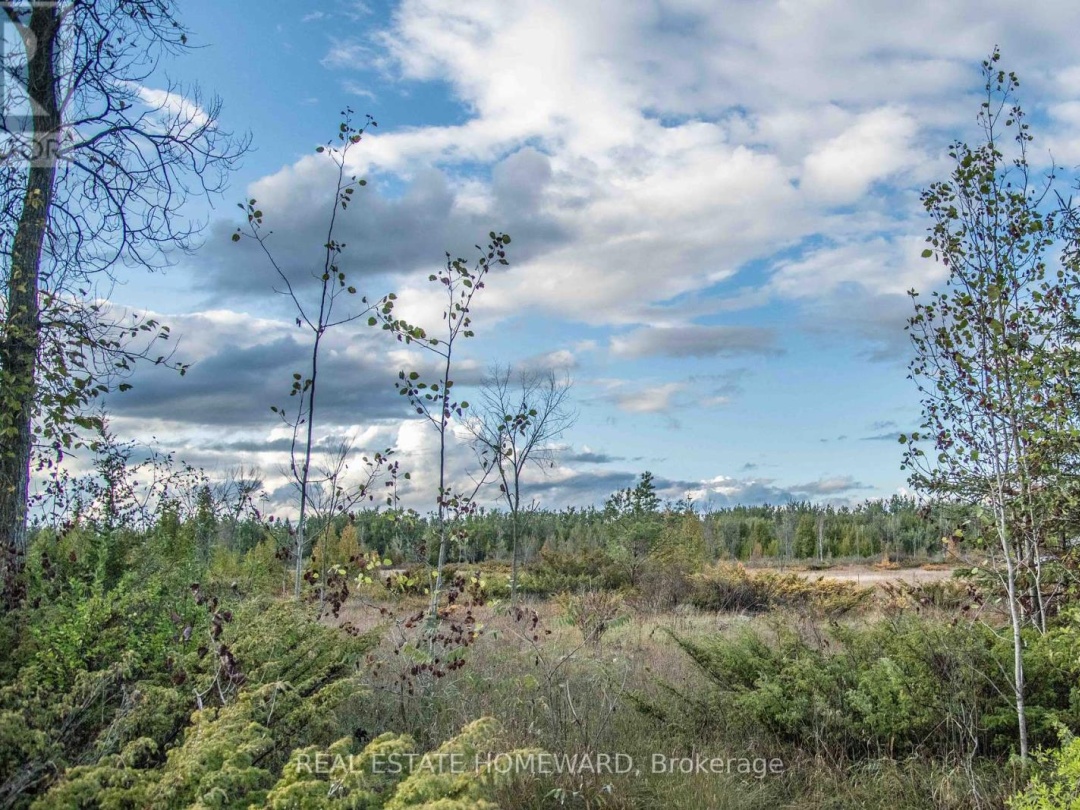 LOT 256 MCGUIRE BEACH ROAD, 