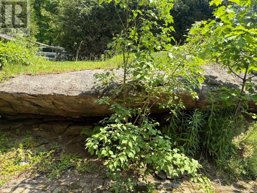 5 GOVERNMENT DOCK ROAD,