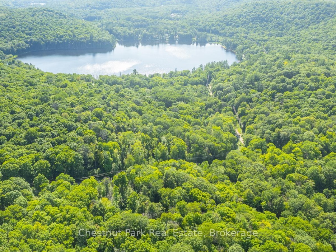 0 COLEMAN LAKE ROAD, 