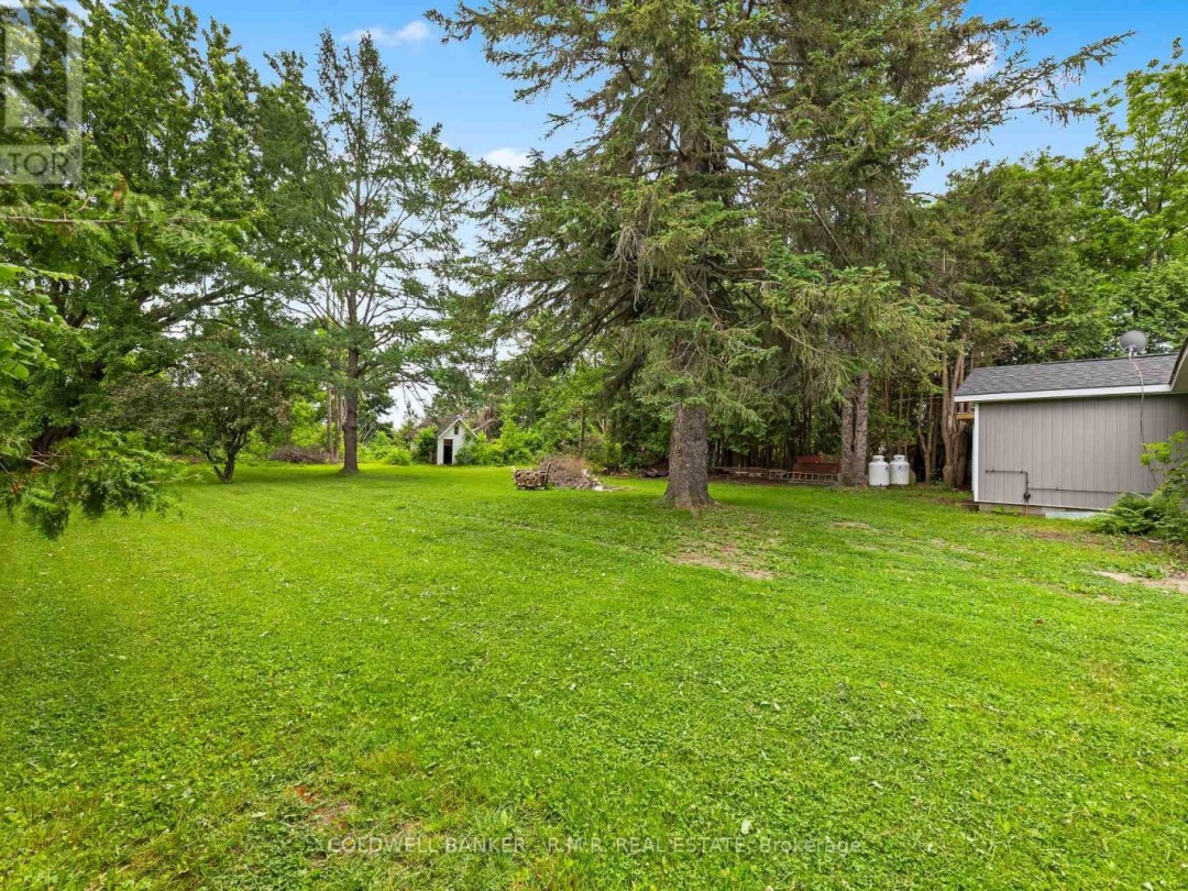 15 HAZEL STREET, 