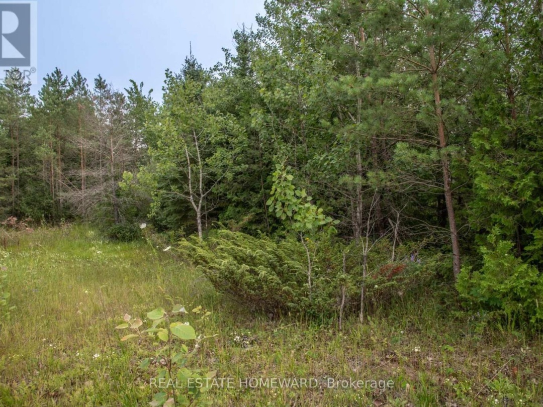 LOT 256 MCGUIRE BEACH ROAD, 