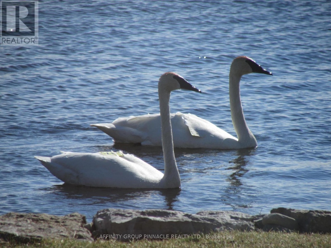 11 LAKEVIEW CRESCENT, 